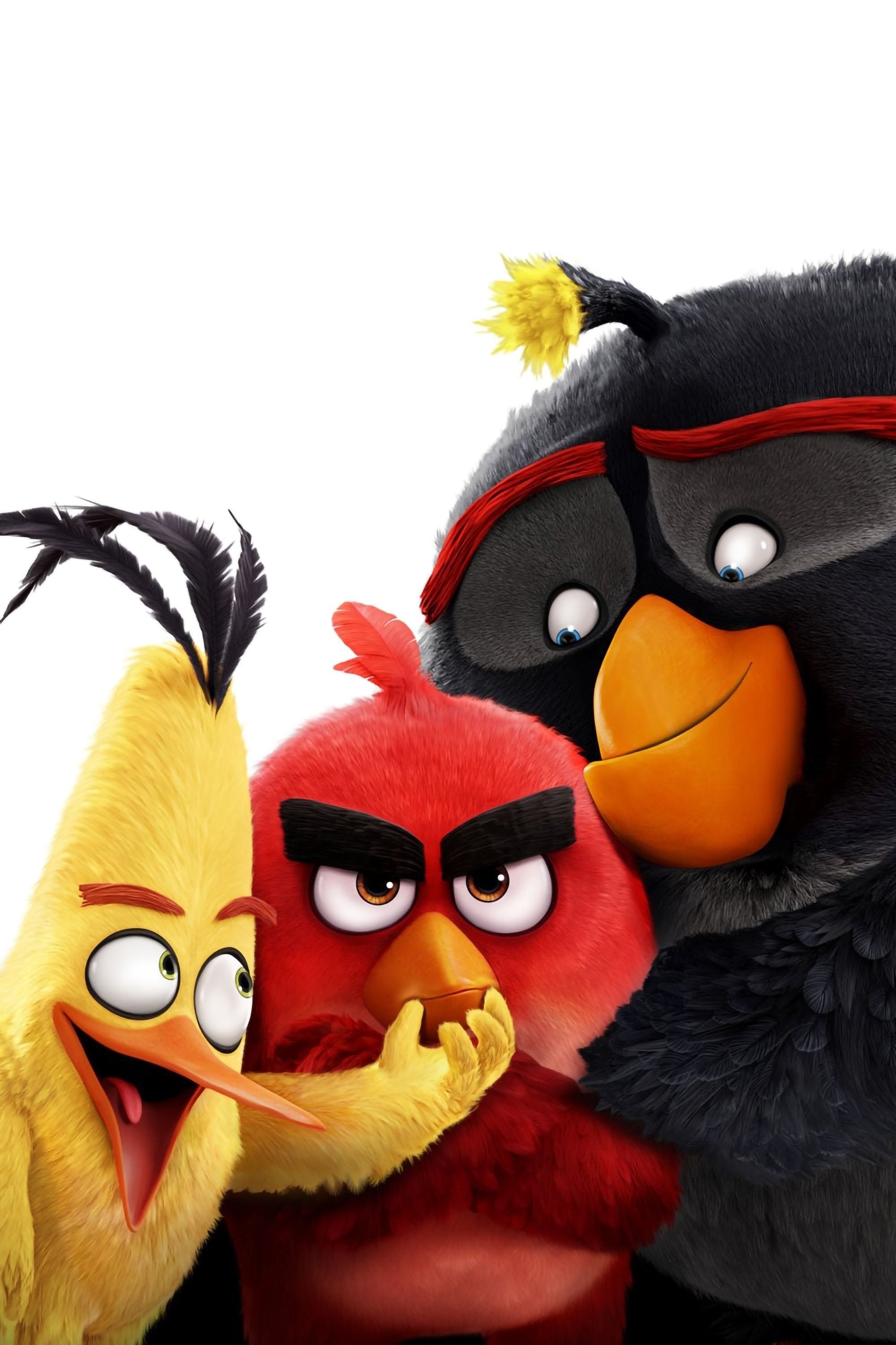 Angry Birds ve filmu
