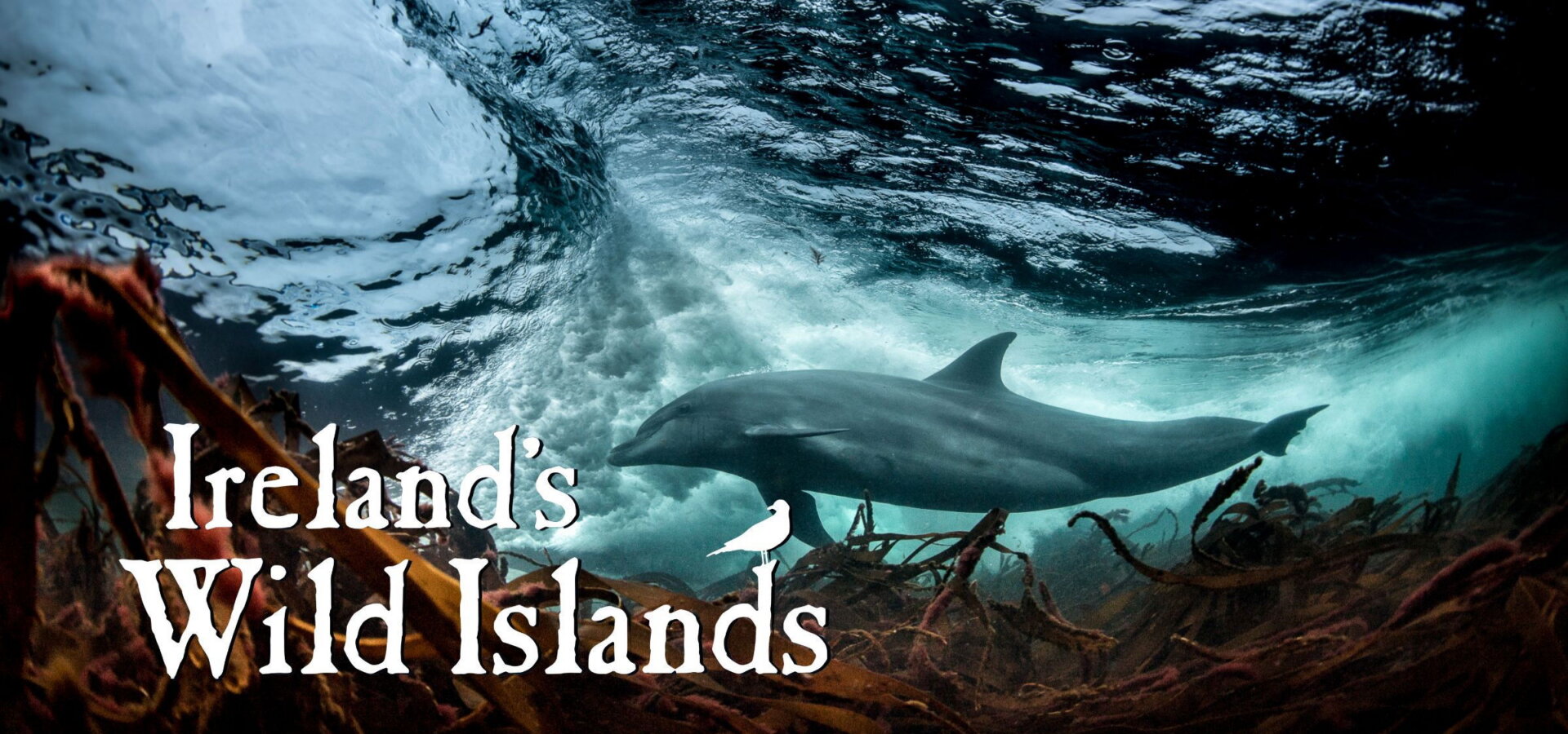 Divoké ostrovy Irska s Eoinem Warnerem