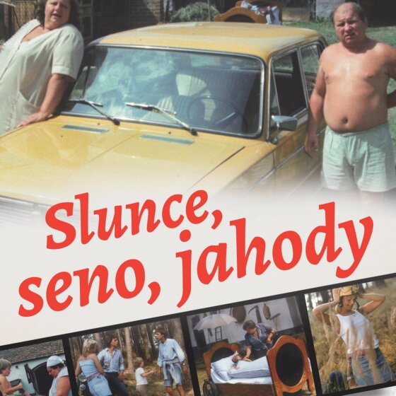 Slunce, seno, jahody