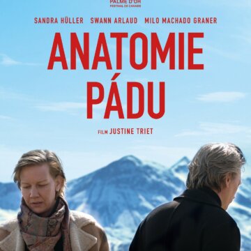 Anatomie pádu