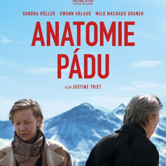 Anatomie pádu