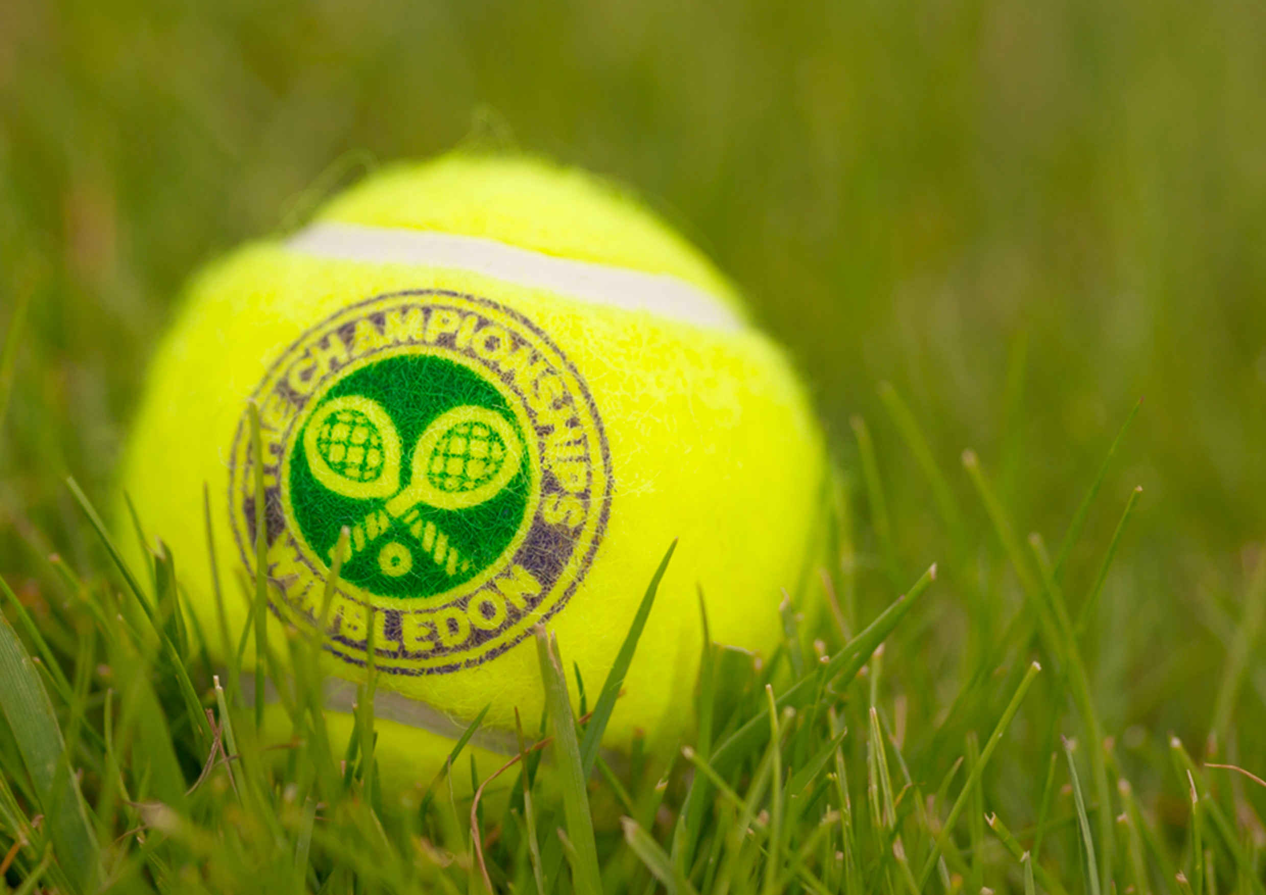 Wimbledon čekají finálové boje i s českou účastí