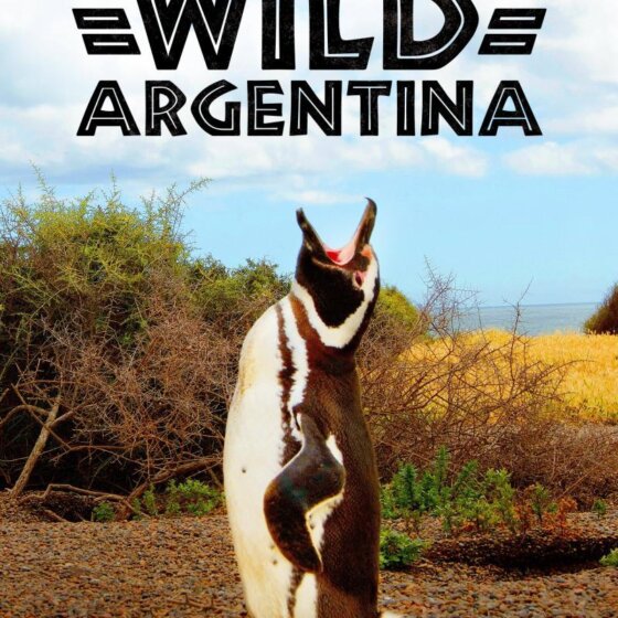 Divoká Argentina
