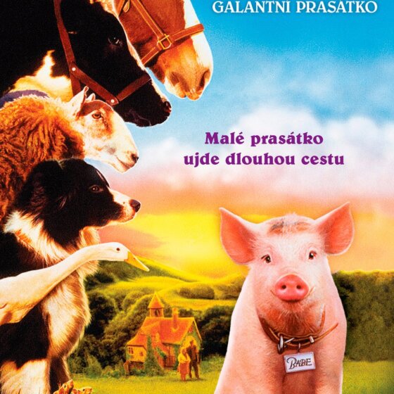 Babe - galantní prasátko