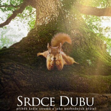 Srdce dubu