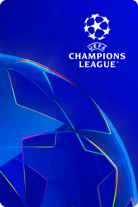 Liga mistrů UEFA
