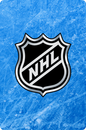 NHL - kanadsko-americká hokejová liga