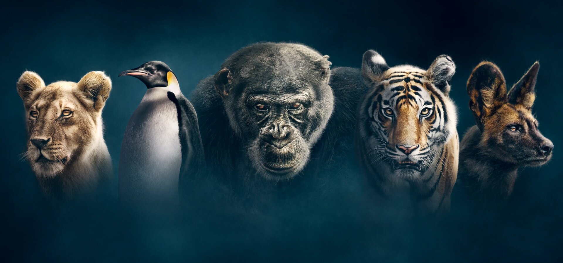 David Attenborough: Zvířecí dynastie