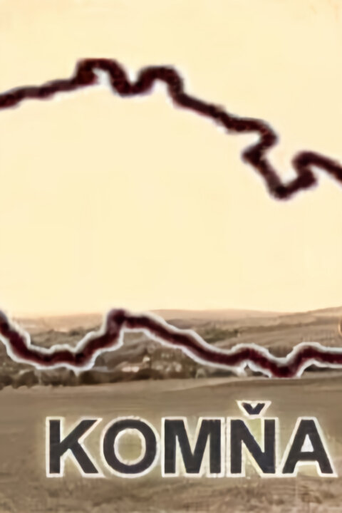 Divnopis