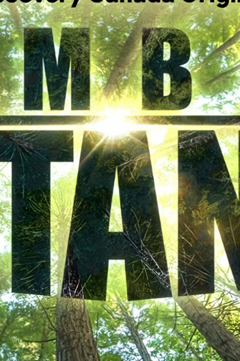 Dřevařští titáni