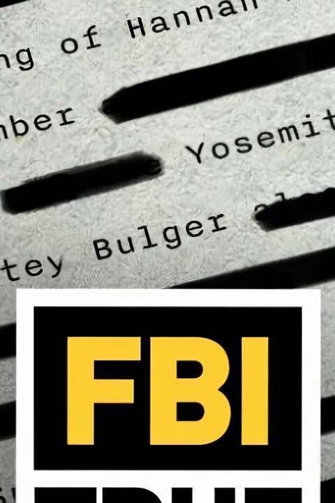 FBI – Agenti řeší případy