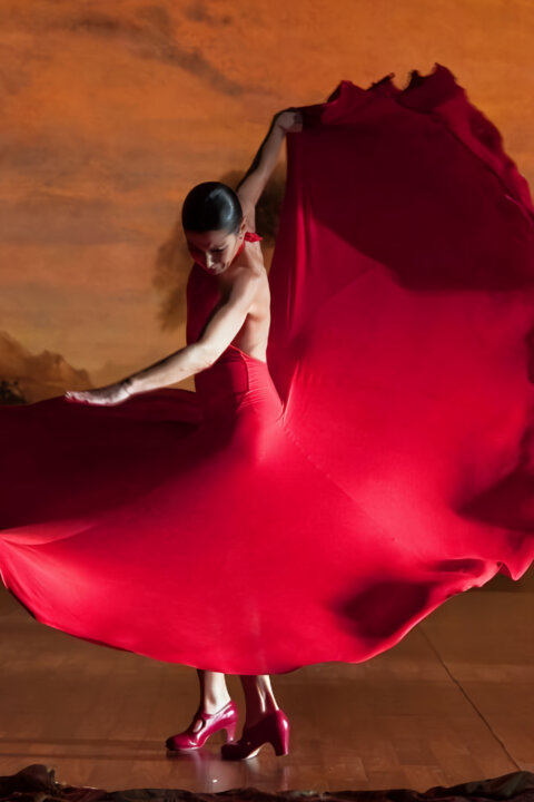Flamenco, můj život
