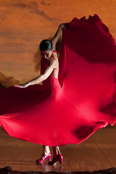Flamenco, můj život