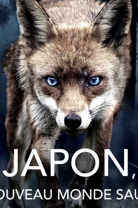 Japonsko: Nové království zvířat