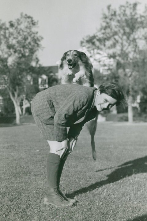 Lassie se vrací