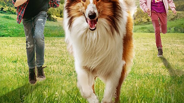 Lassie se vrací