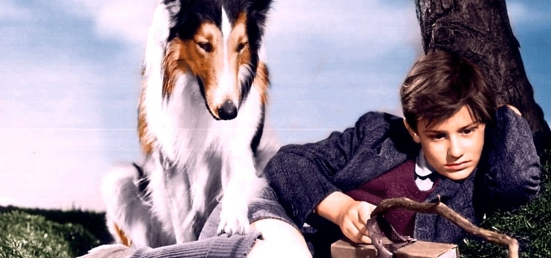 Lassie se vrací