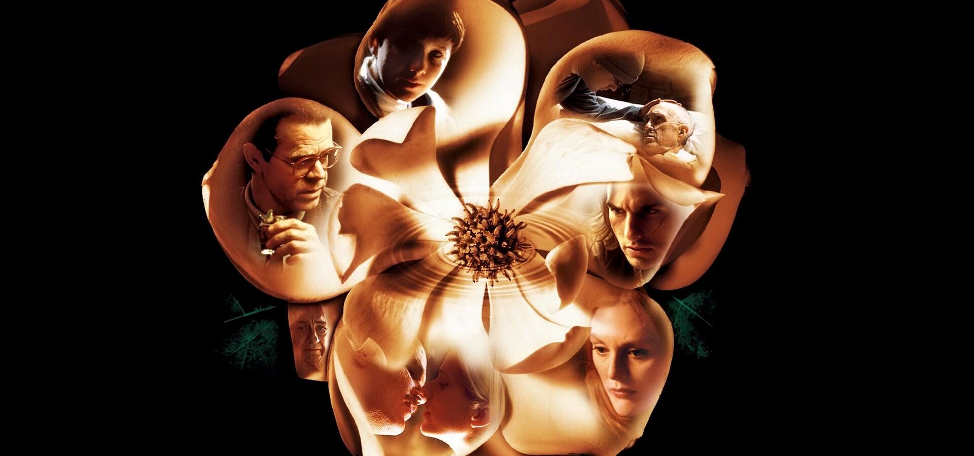 Magnolia