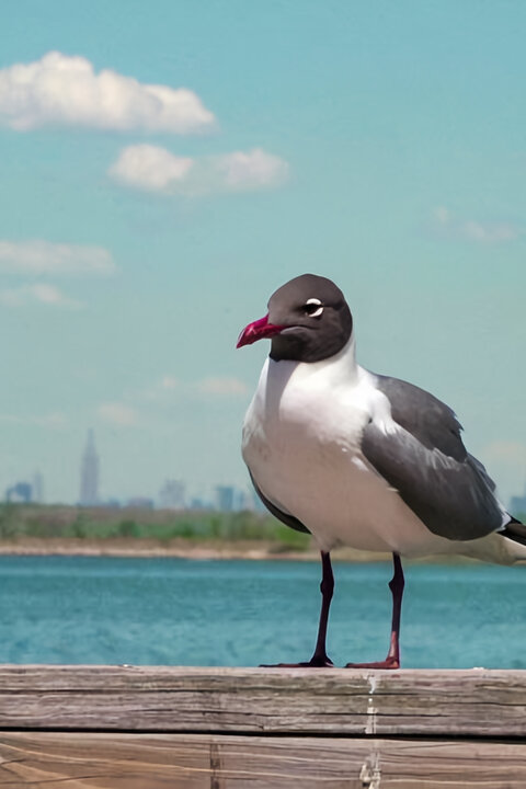 Na jachtě kolem New Yorku