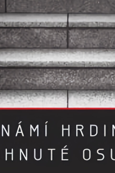 Neznámí hrdinové – Pohnuté osudy