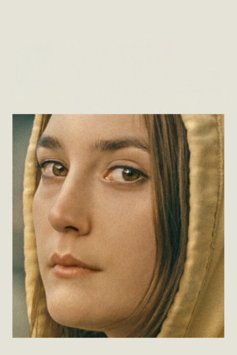 Nikdy výjimečně někdy vždycky