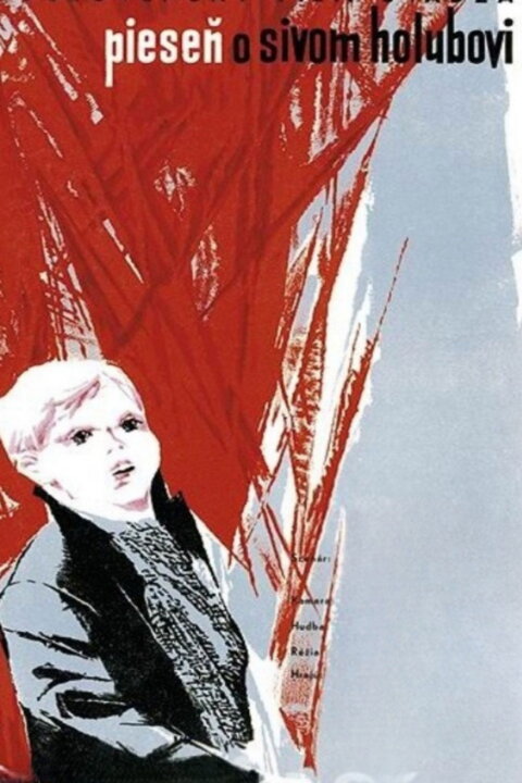 Pieseň o sivom holubovi