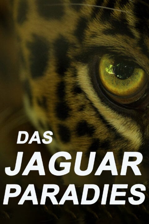 Pláž jaguárů