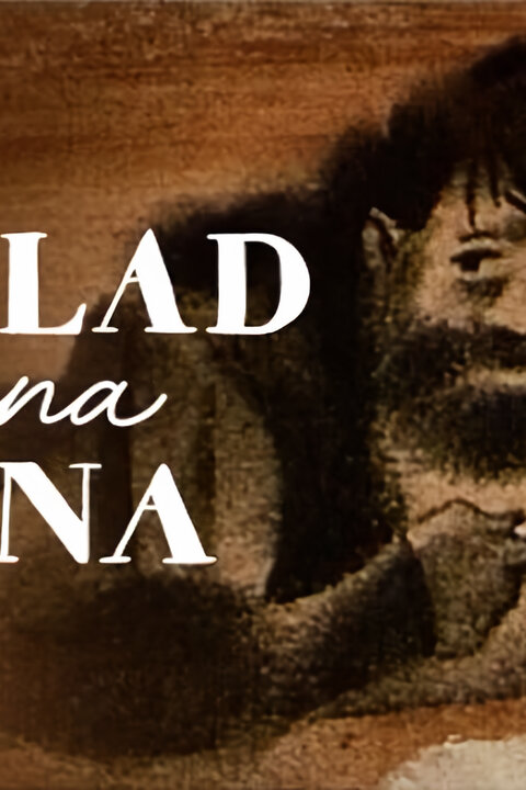 Poklad pana Arna