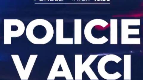 Policie v akci