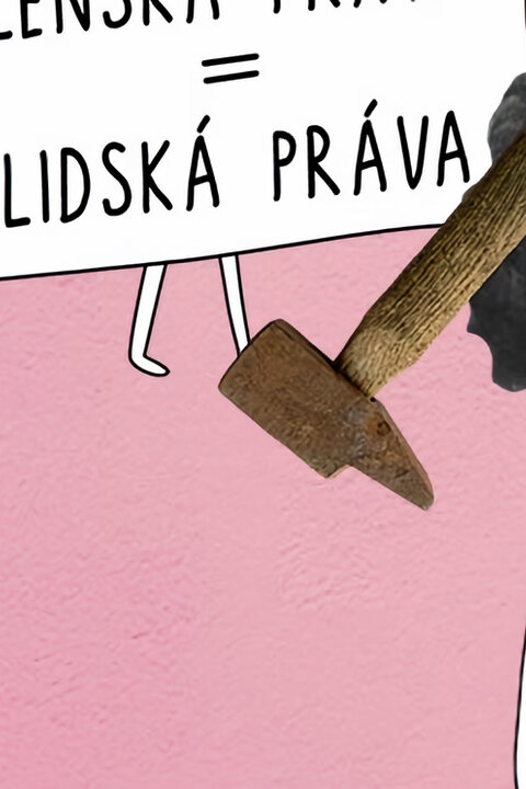 Potížistky