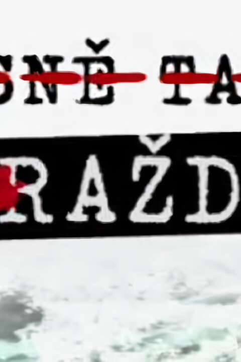Přísně tajné vraždy