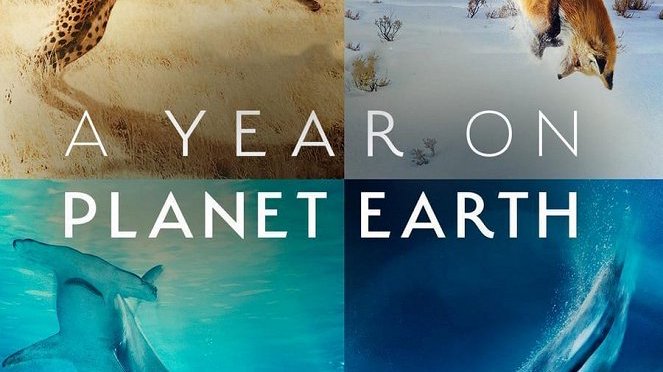 Rok na Planetě