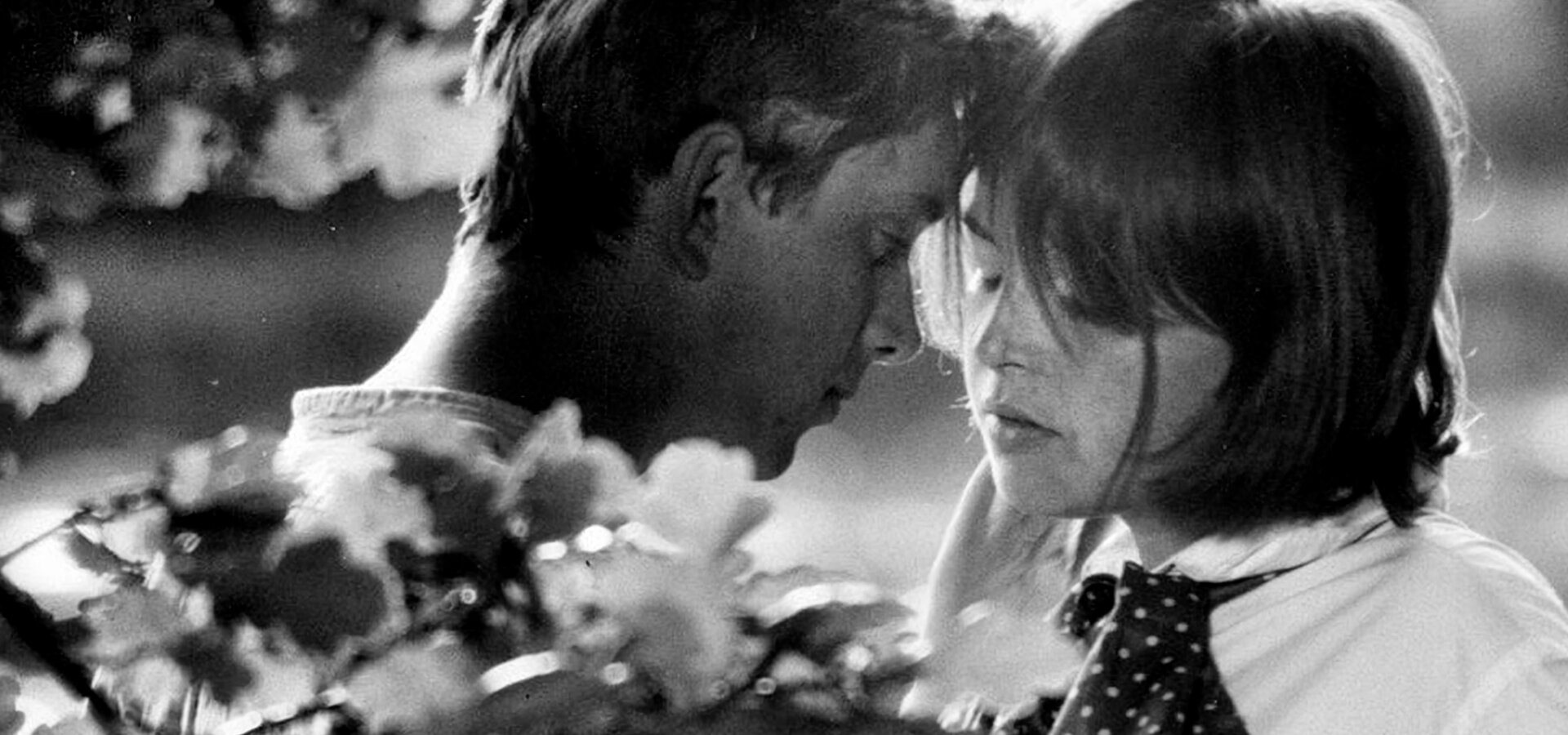 Romance pro křídlovku