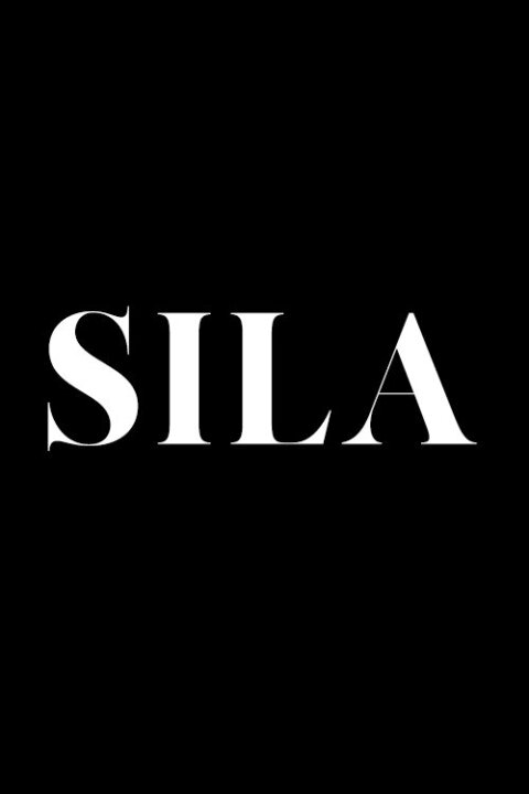 Síla