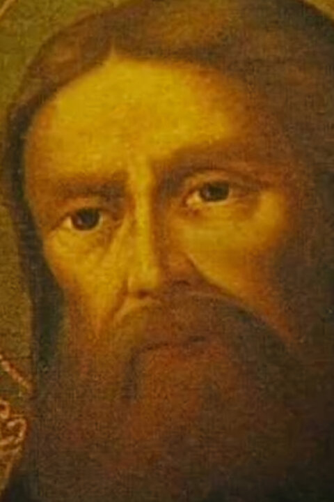 Světci a svědci