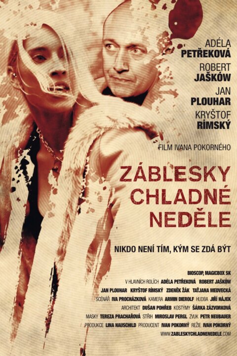 Záblesky