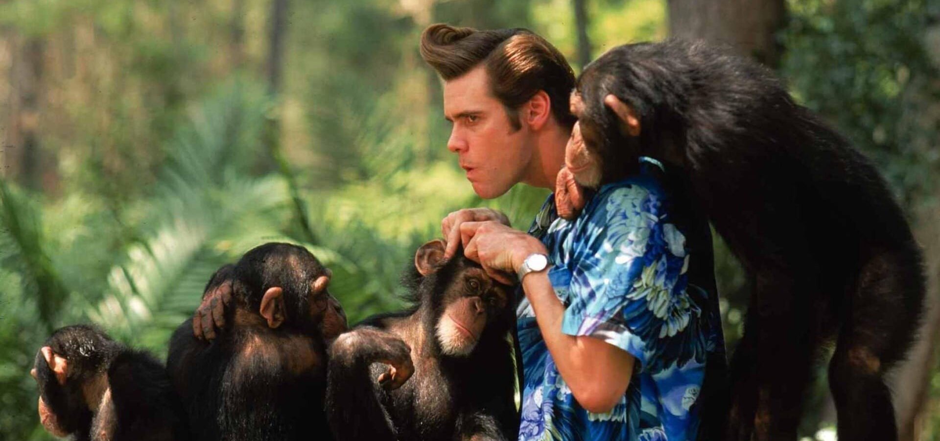 Ace Ventura 2: Volání divočiny