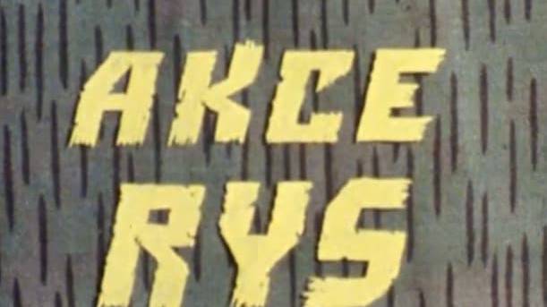 Akce Rys
