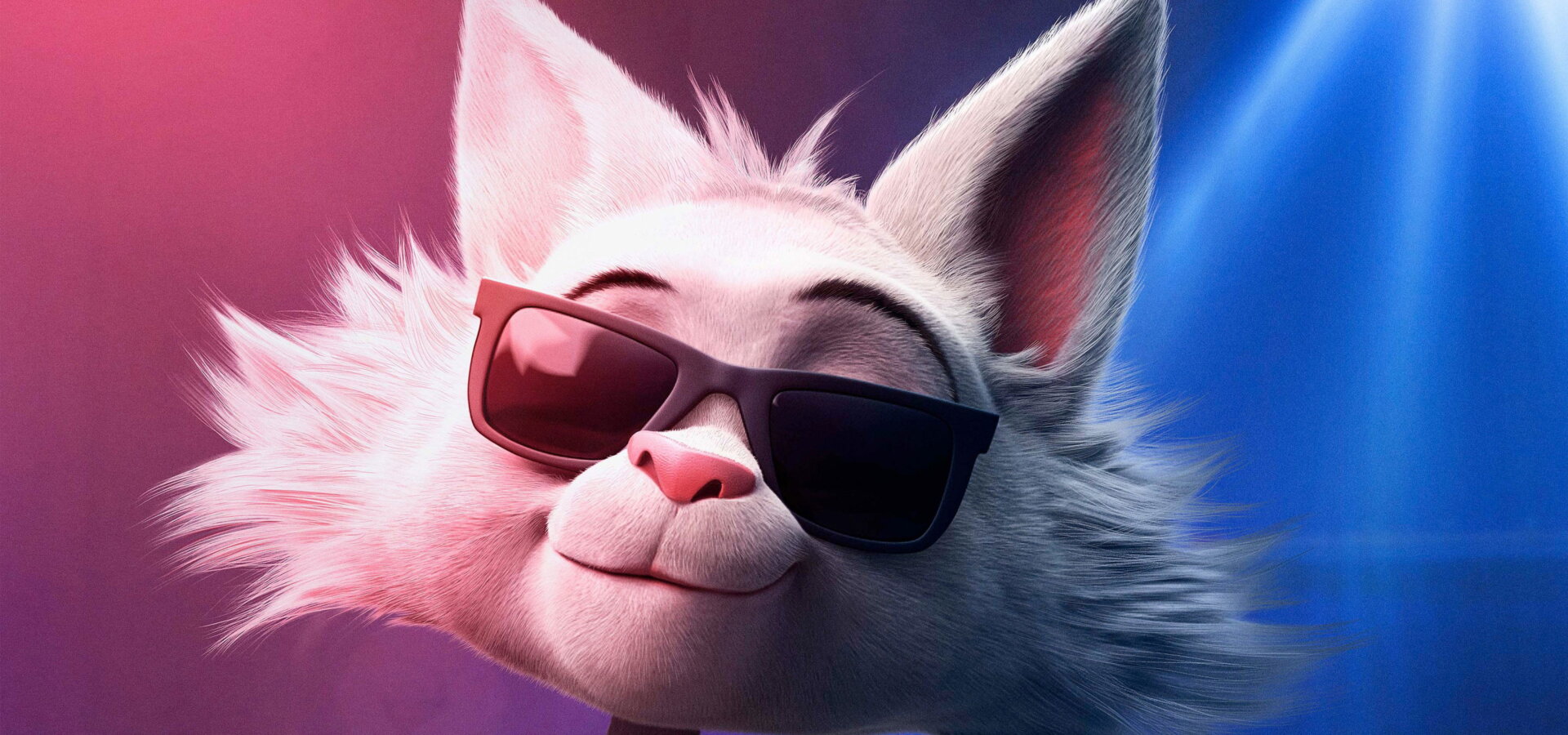Bodi: Psia Superstar