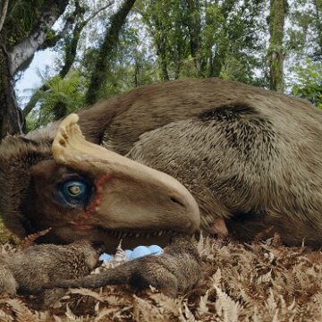 Dinosauři ledového kontinentu