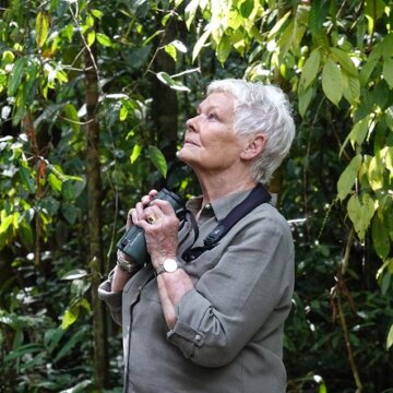 Divoké Borneo Judi Denchové