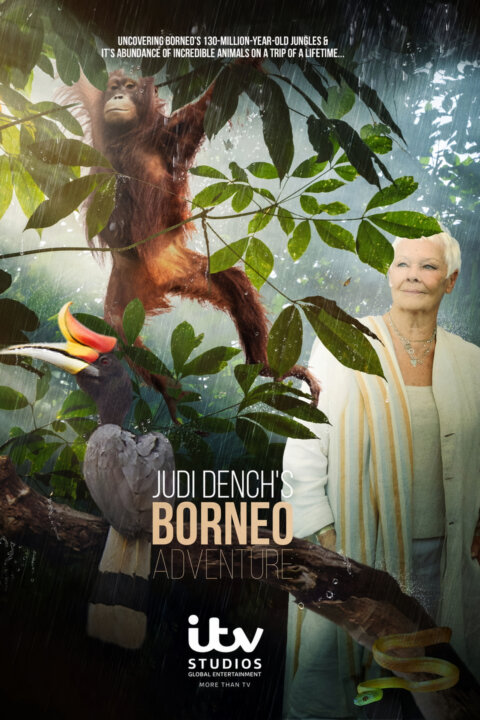 Divoké Borneo Judi Denchové