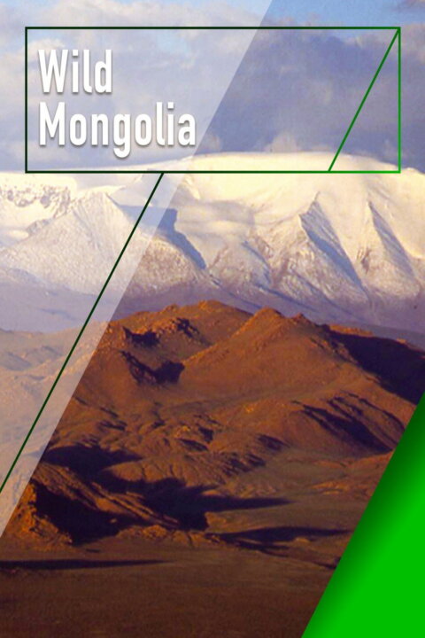 Divoké Mongolsko: země extrémů