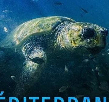 Dobrodružství s kamerou ve Středozemním moři