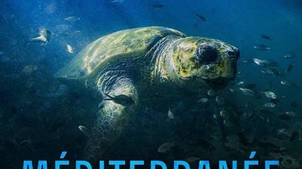 Dobrodružství s kamerou ve Středozemním moři