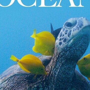 Duša oceánu