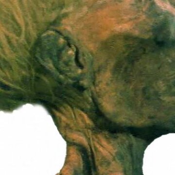 Egyptské mumie – skutečnost či velký podvod?
