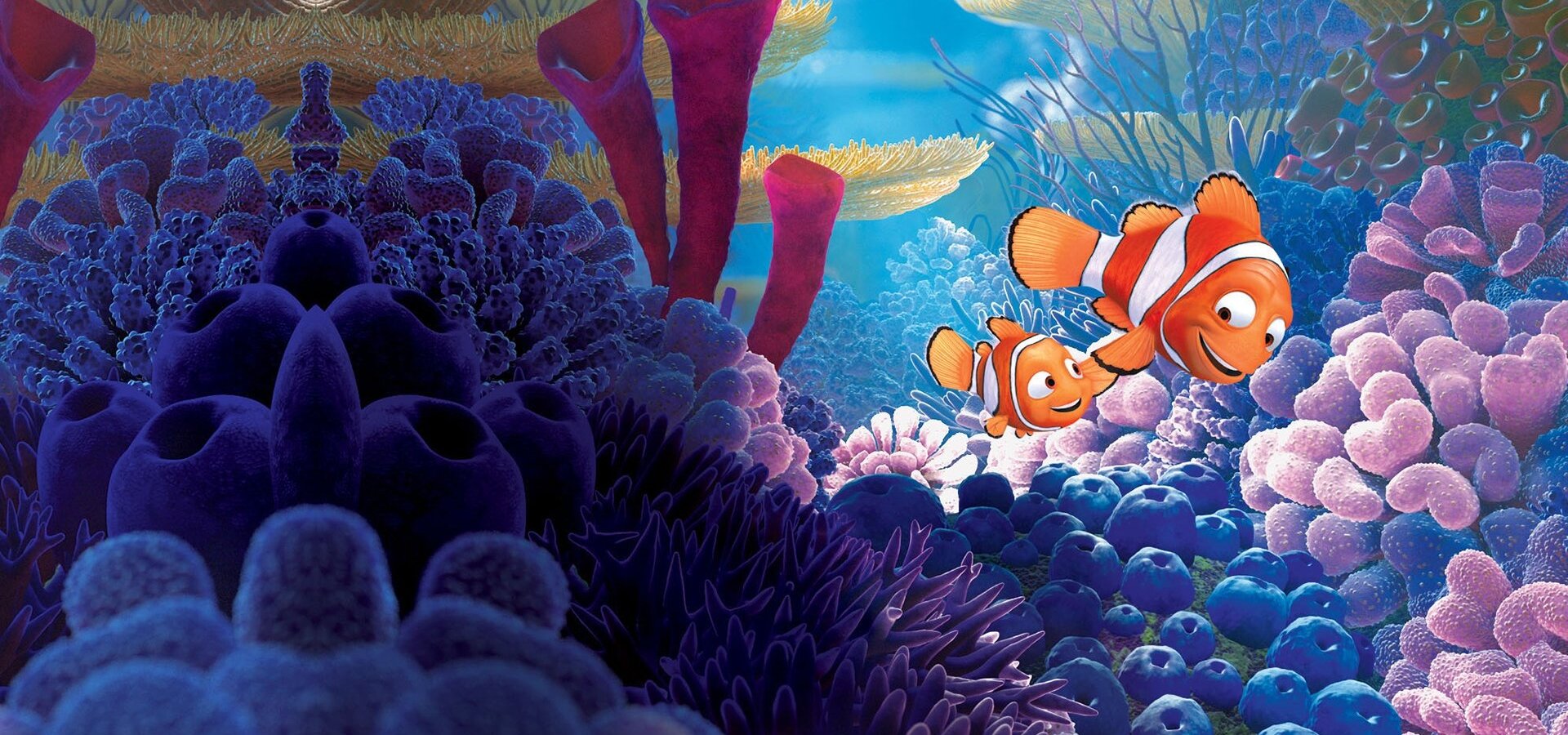 Hledá se Nemo