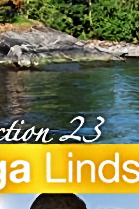 Inga Lindström: Kuchařka lásky
