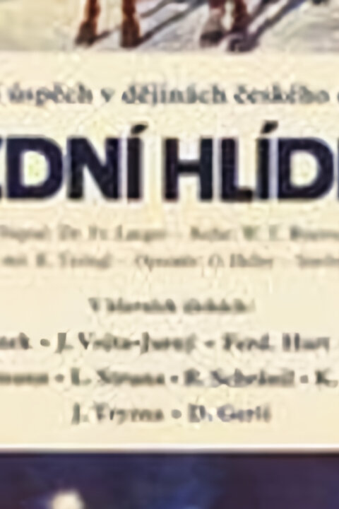 Jízdní hlídka